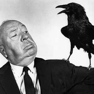 Fundraising Page: Bryndis Ogmundson